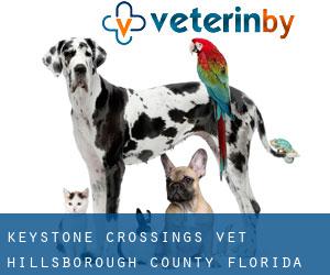 Keystone Crossings vet (Hillsborough County, Florida)