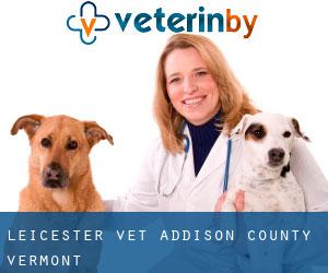 Leicester vet (Addison County, Vermont)