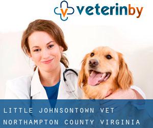 Little Johnsontown vet (Northampton County, Virginia)