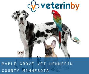 Maple Grove vet (Hennepin County, Minnesota)