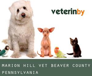 Marion Hill vet (Beaver County, Pennsylvania)