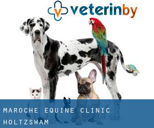 Maroche Equine Clinic (Holtzswam)