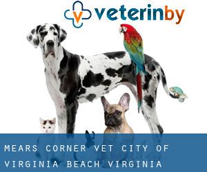 Mears Corner vet (City of Virginia Beach, Virginia)