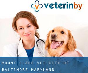 Mount Clare vet (City of Baltimore, Maryland)