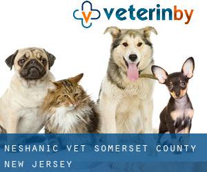Neshanic vet (Somerset County, New Jersey)