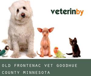 Old Frontenac vet (Goodhue County, Minnesota)