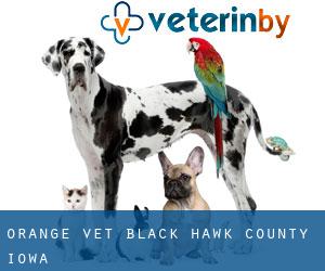 Orange vet (Black Hawk County, Iowa)