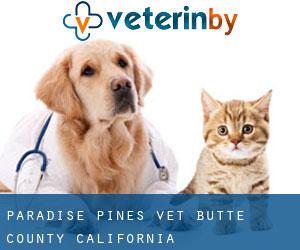 Paradise Pines vet (Butte County, California)