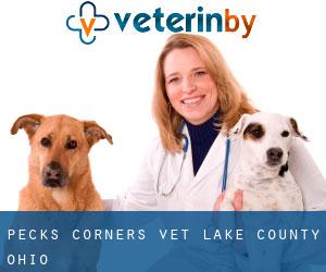 Pecks Corners vet (Lake County, Ohio)