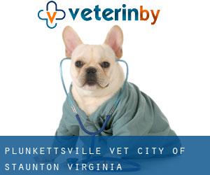 Plunkettsville vet (City of Staunton, Virginia)
