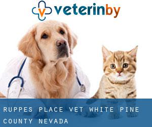 Ruppes Place vet (White Pine County, Nevada)