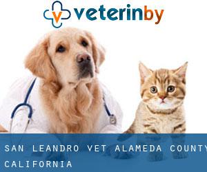 San Leandro vet (Alameda County, California)