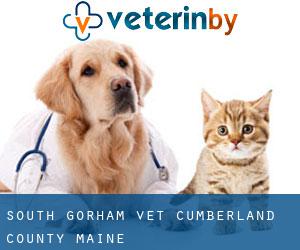 South Gorham vet (Cumberland County, Maine)