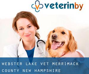 Webster Lake vet (Merrimack County, New Hampshire)