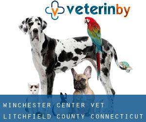 Winchester Center vet (Litchfield County, Connecticut)