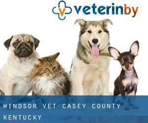 Windsor vet (Casey County, Kentucky)